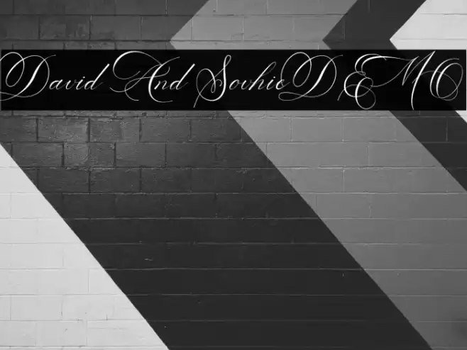 David And SovhieDEMO Font examples
