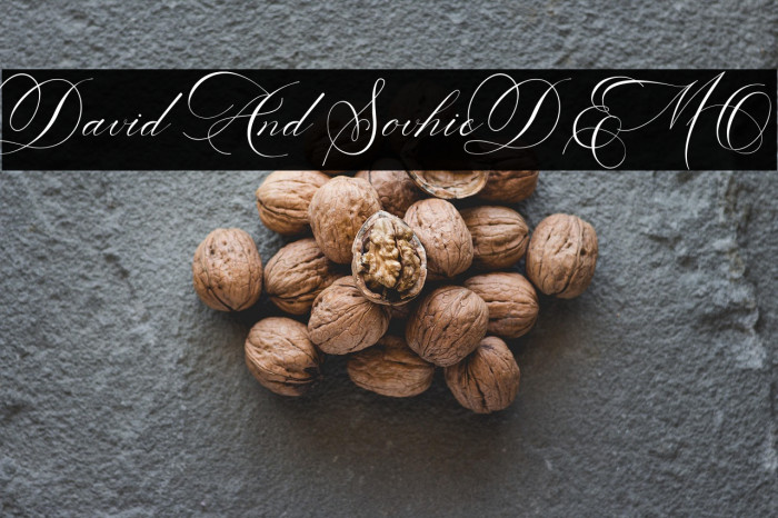 David And SovhieDEMO Example 2