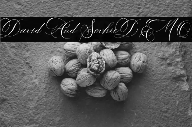 David And SovhieDEMO Font examples