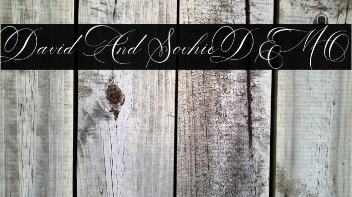 David And SovhieDEMO Example 3