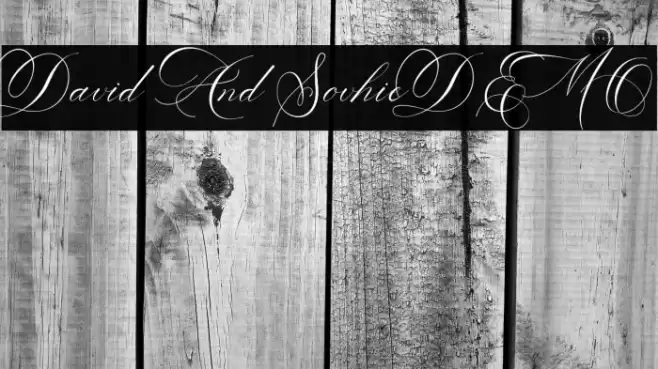 David And SovhieDEMO Font examples