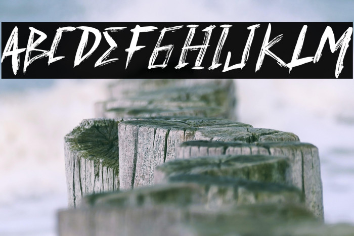 David Elika Demo Version Example 1