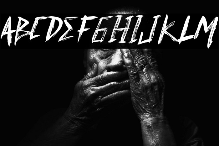 David Elika Demo Version Example 2