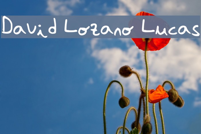 David Lozano Lucas Font examples