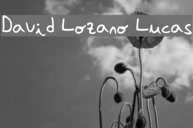 David Lozano Lucas Schriftart examples