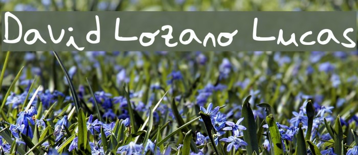 David Lozano Lucas Font examples