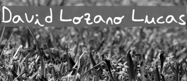 David Lozano Lucas Schriftart examples