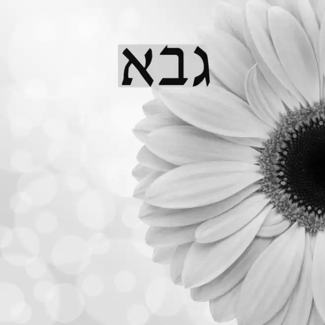 David-New-Hebrew Schriftart examples