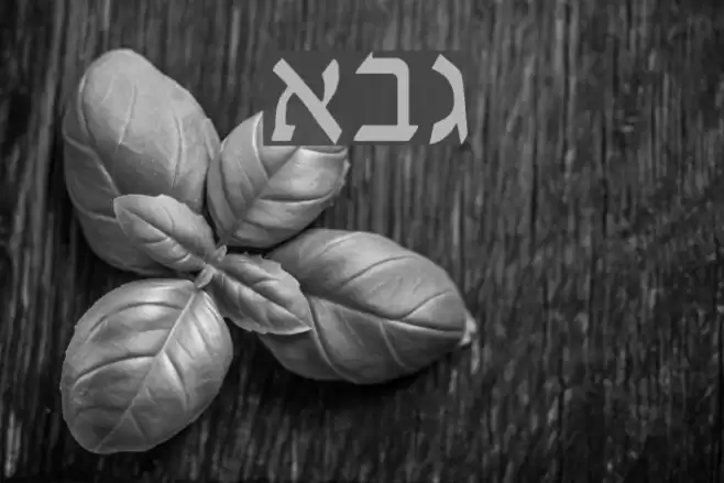 David-New-Hebrew Schriftart examples