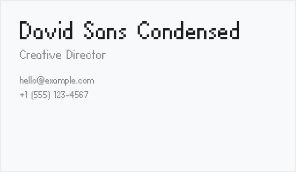 David Sans Condensed Business Card