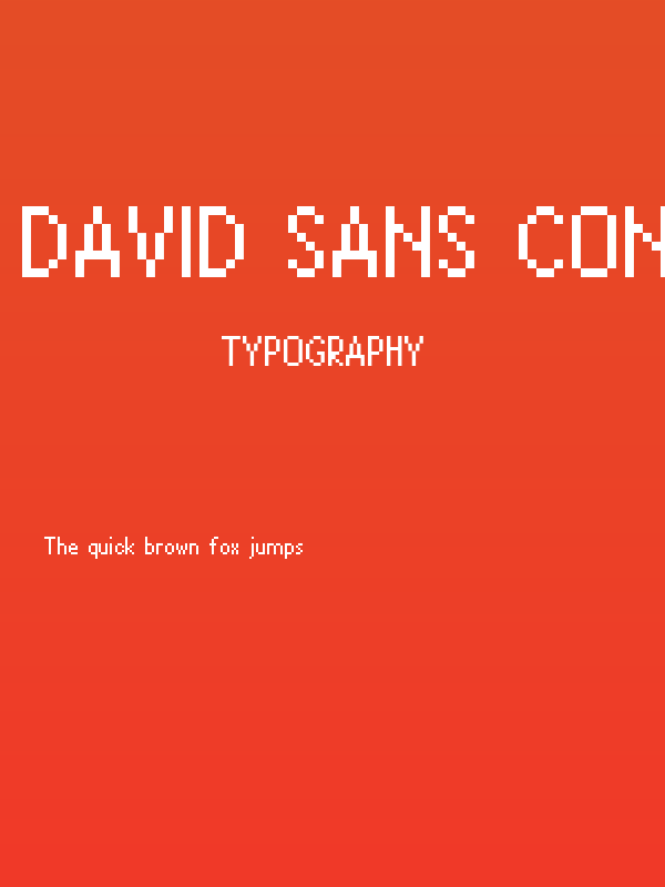 David Sans Condensed Poster