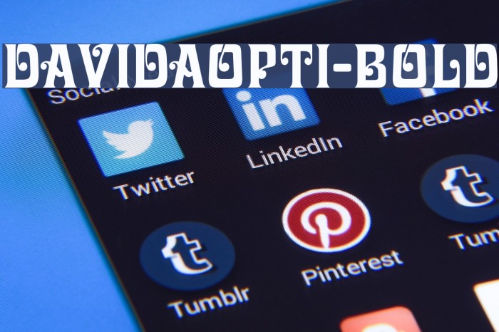 DavidaOpti-Bold Example 1