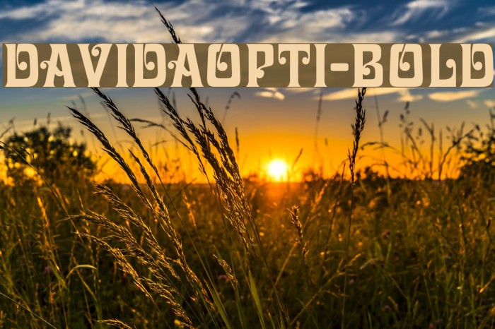 DavidaOpti-Bold Example 2