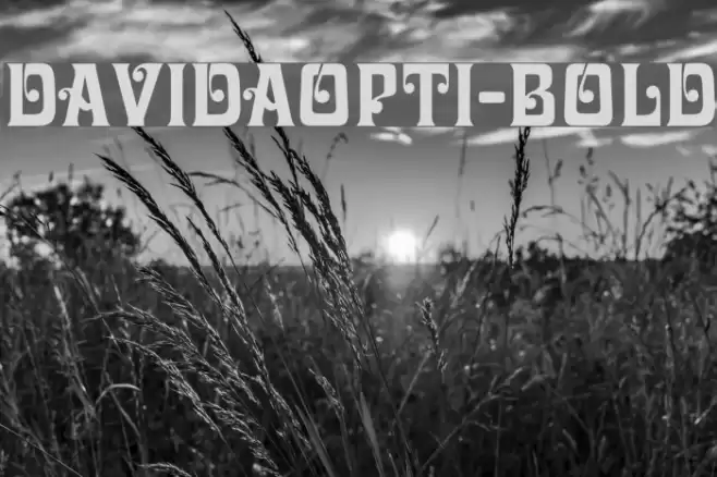 DavidaOpti-Bold Font examples