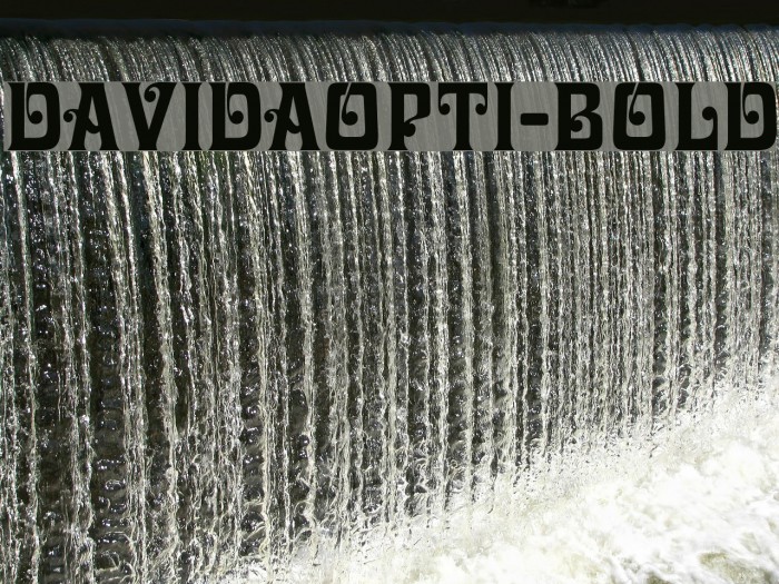 DavidaOpti-Bold Example 3