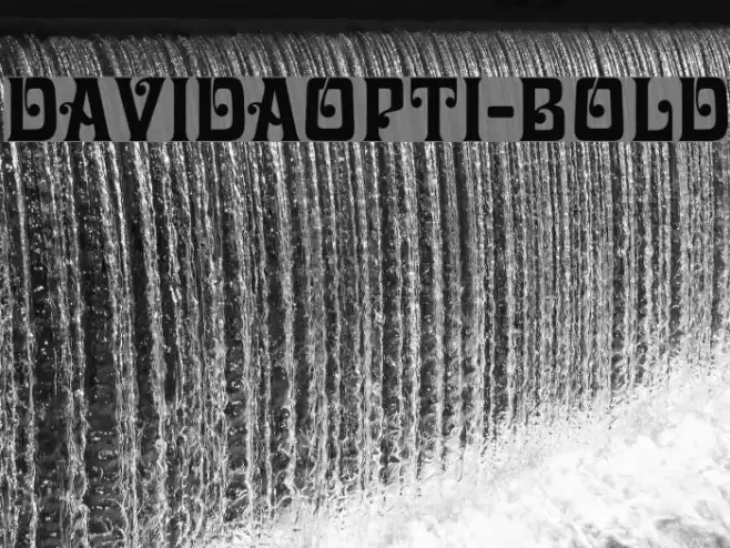 DavidaOpti-Bold Font examples