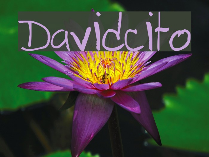 Davidcito Font examples