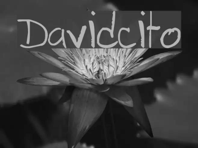 Davidcito Font examples