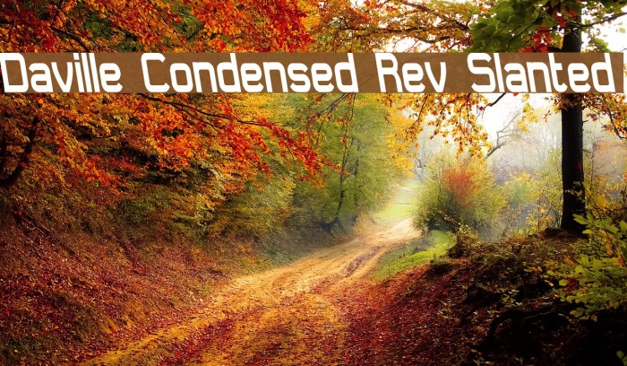 Daville Condensed Rev Slanted Font examples
