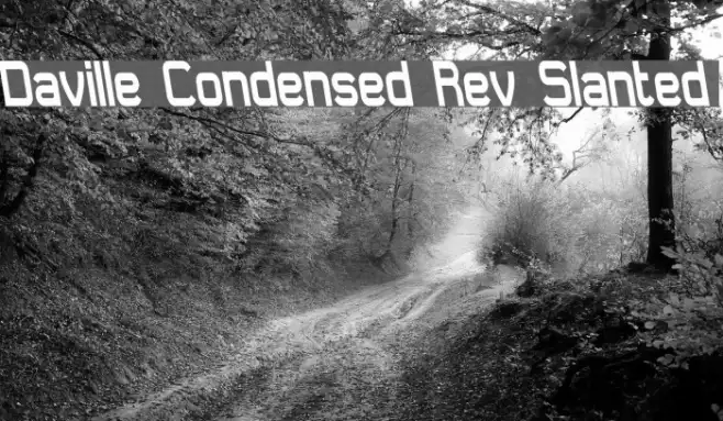 Daville Condensed Rev Slanted Example 1