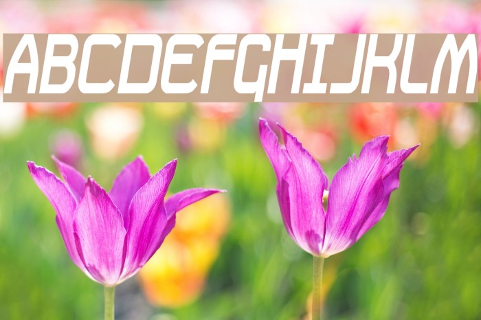 Daville Condensed Slanted Font examples