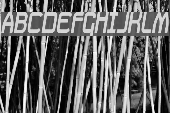 Daville Condensed Slanted Font examples