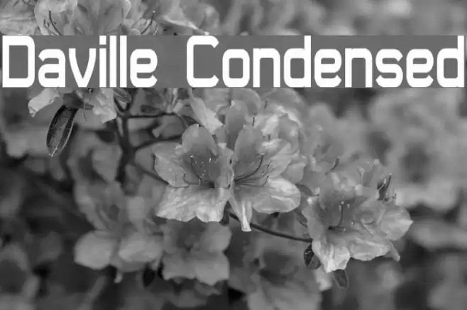Daville Condensed Font examples