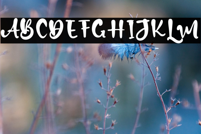 Davin Boys Example 3