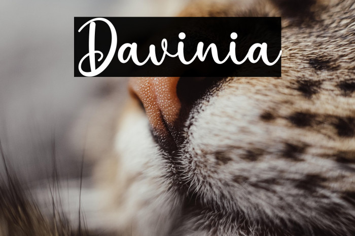 Davinia Example 1