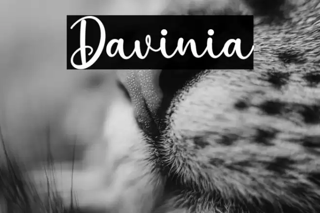 Davinia خط examples