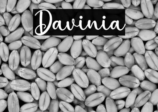 Davinia خط examples
