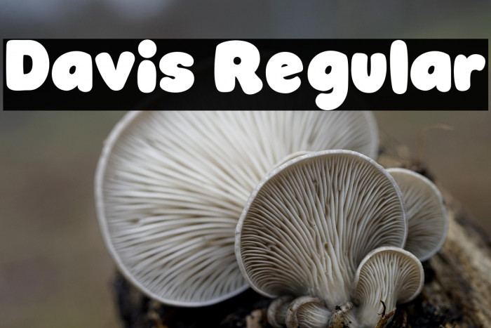 Davis Regular Example 2