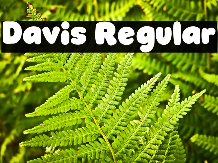 Davis Regular Example 3