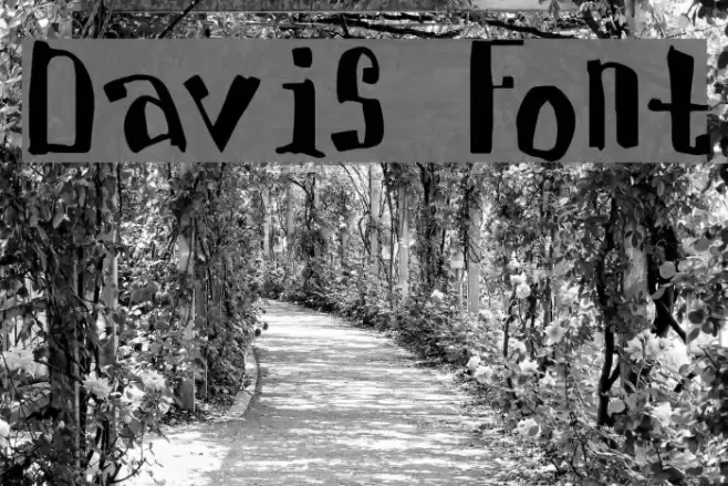 Davis Font examples
