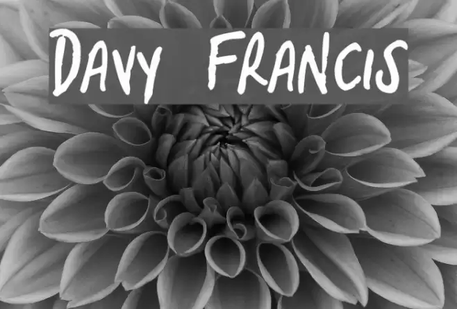 Davy Francis Font examples