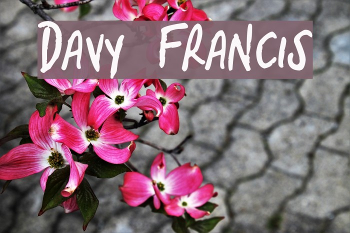 Davy Francis Font examples