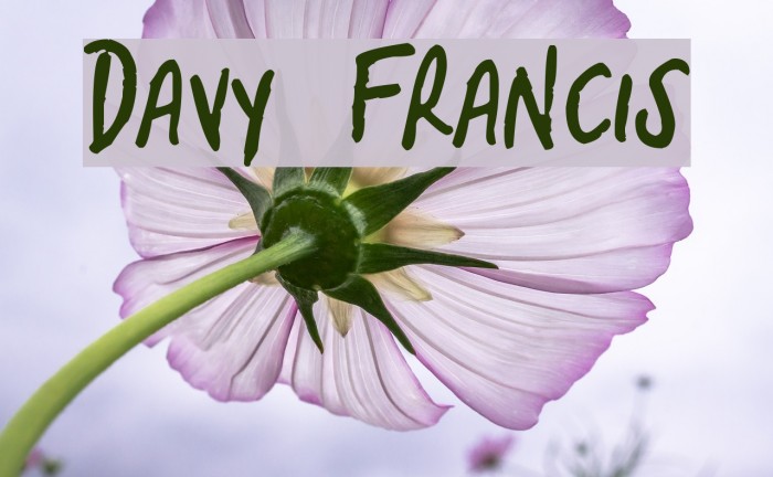Davy Francis Font examples