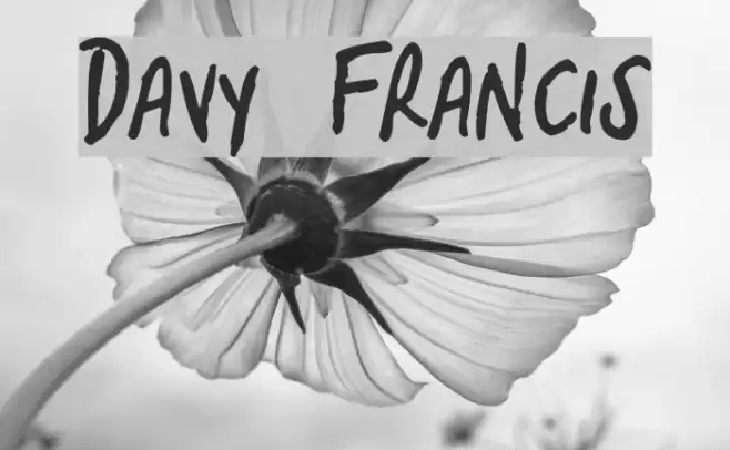 Davy Francis Font examples