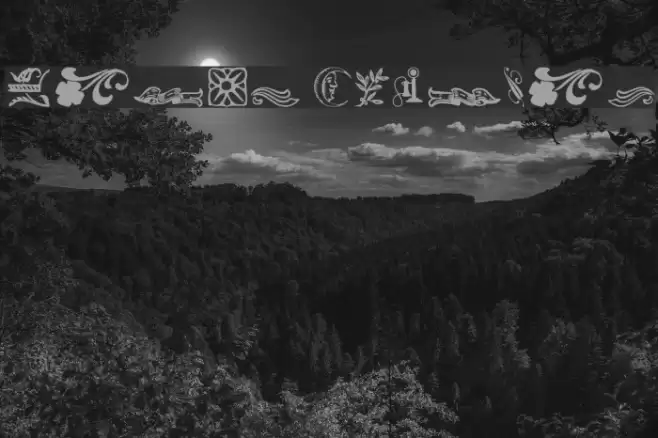 Davys Regular Font examples