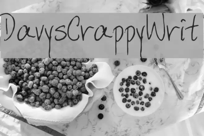 DavysCrappyWrit Font examples