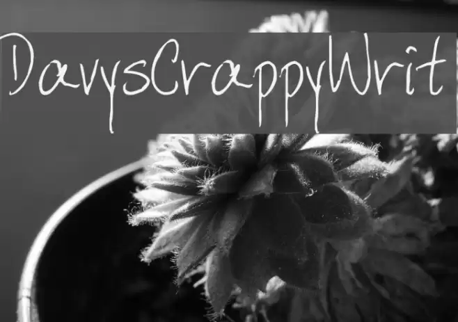 DavysCrappyWrit Font examples