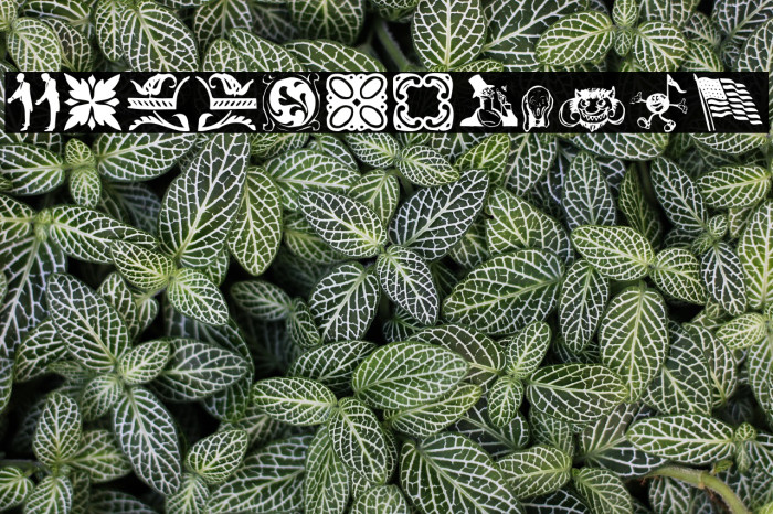 DavysDingbats خط examples