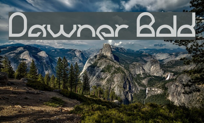 Dawner Bold Font examples
