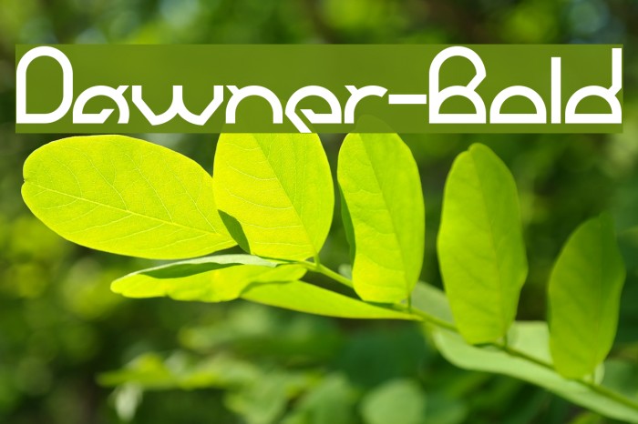 Dawner-Bold Example 2