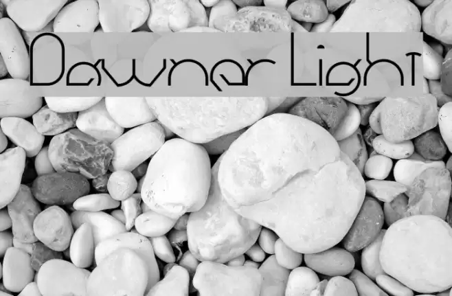 Dawner Light Font examples