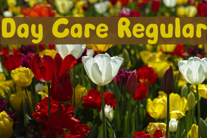 Day Care Regular Example 3