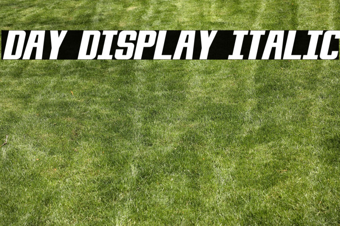 Day Display Italic Example 3