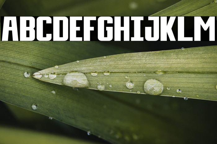 Day Display Example 1