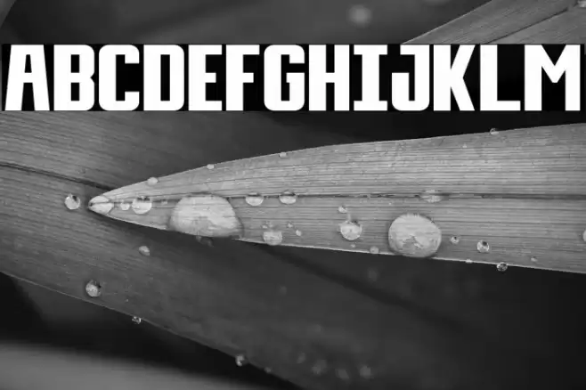 Day Display Font examples