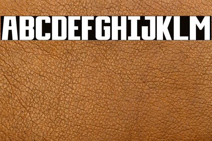 Day Display Example 2